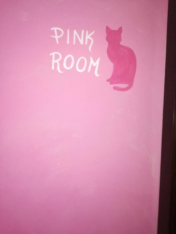 B&B Rainbow image 16